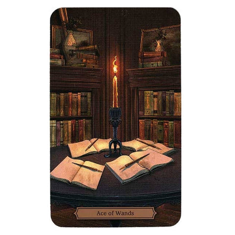 Edgar Allan Poe Tarot Cards Deck And Book Kit Llewellyn Esoteric Spiritual With Bag