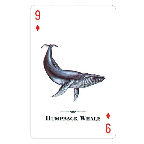 Endangered Species Of The Natural World Playing Cards Deck US Games Systems