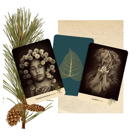 Sacred Nature Oracle Cards Deck – Transformational Guidance & Intuition