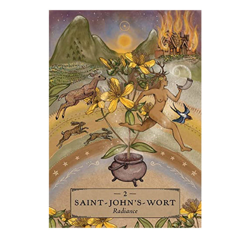 Herbal Astrology Oracle Cards Deck And Guidebook Hay House