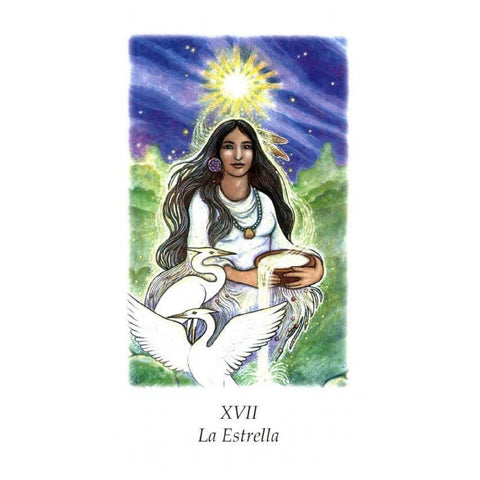 Vision Quest Tarot Deck Cards Esoteric Winter Jo Dose Spanish Edition Agm