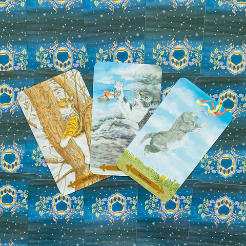 Mystical Cats Tarot Deck Lunaea Weatherstone Mickie Mueller Llewellyn