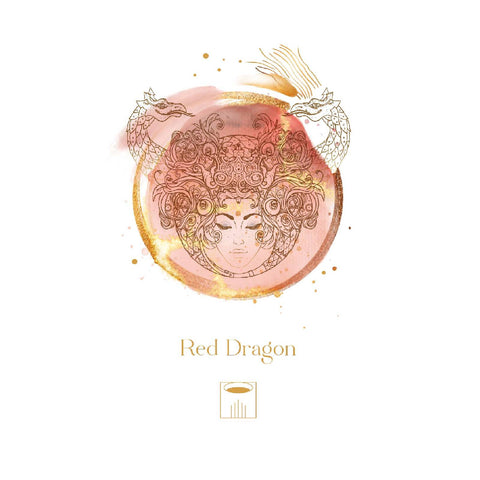 Maya Astro Oracle Cards Deck – AGM Esoteric Divination Astrology