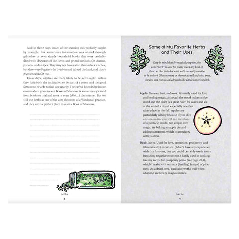 The Eclectic Witch'S Book Of Shadows Witchy Wisdom Deborah Blake Llewellyn