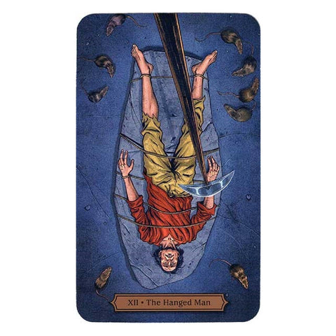 Edgar Allan Poe Tarot Cards Deck And Book Kit Llewellyn Esoteric Spiritual With Bag