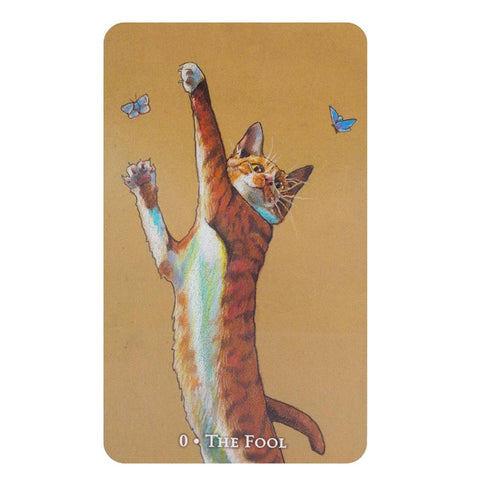 Scorpio Sea Tarot Cards Deck & Book Set Llewellyn Maggie Stiefvater Cynova