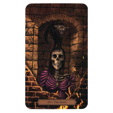 Edgar Allan Poe Tarot Cards Deck And Book Kit Llewellyn Esoteric Spiritual With Bag