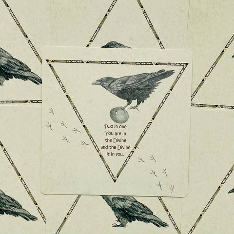 Raven Oracle Cards Deck Gabi Bucker Inspiration Blank Esoteric Agm