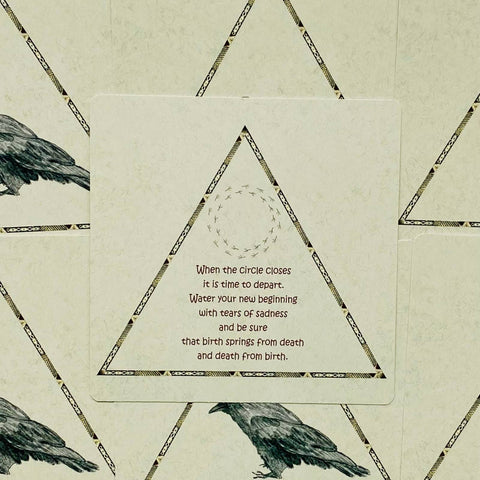 Raven Oracle Cards Deck Gabi Bucker Inspiration Blank Esoteric Agm