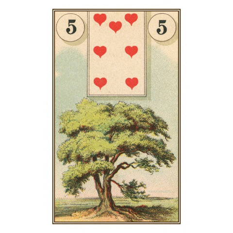 French Cartomancy Oracle Cards Deck Esoteric Telling Lo Scarabeo