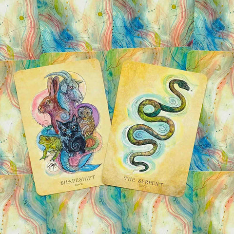 Anatomy Of A Witch Oracle Cards Deck Llewellyn By Laura Tempest Zakroff
