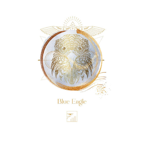 Maya Astro Oracle Cards Deck – AGM Esoteric Divination Astrology