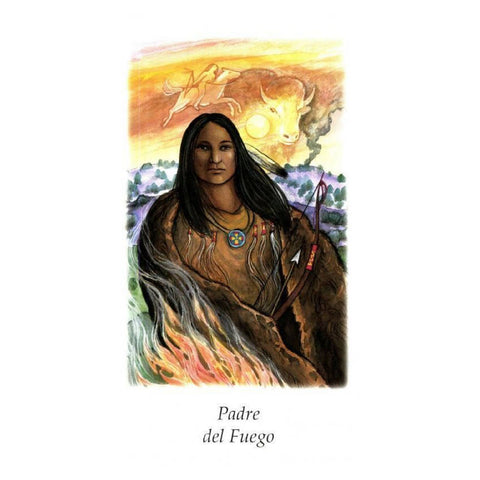 Vision Quest Tarot Cards Deck Gayan Sylvie Winter Spanish With Bag