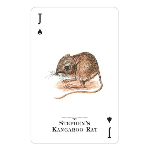 Endangered Species Of The Natural World Playing Cards Deck US Games Systems