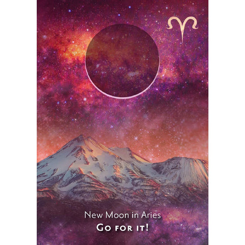 Monology Manifestation Oracle Cards Deck & Guidebook Y. Boland With Bag