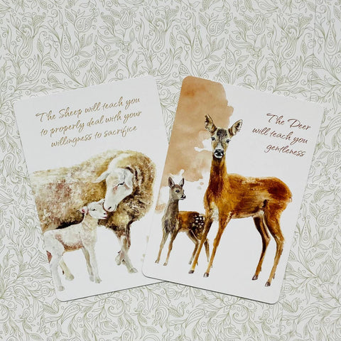 Power Animals Cards Deck Spirit Guides For Your Spiritual Life Esoteric