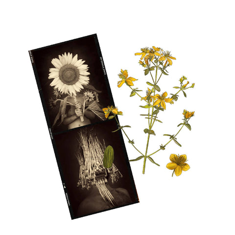 Sacred Nature Oracle Cards Deck – Transformational Guidance & Intuition