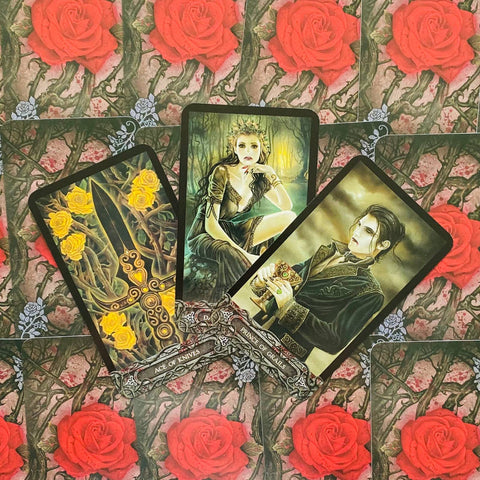 The Tarot Of Vampyres Tarot Cards Deck Esoteric Ian Daniels Llewellyn With Bag