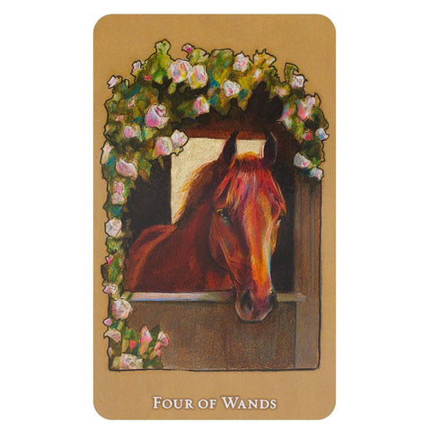 Scorpio Sea Tarot Cards Deck & Book Set Llewellyn Maggie Stiefvater Cynova