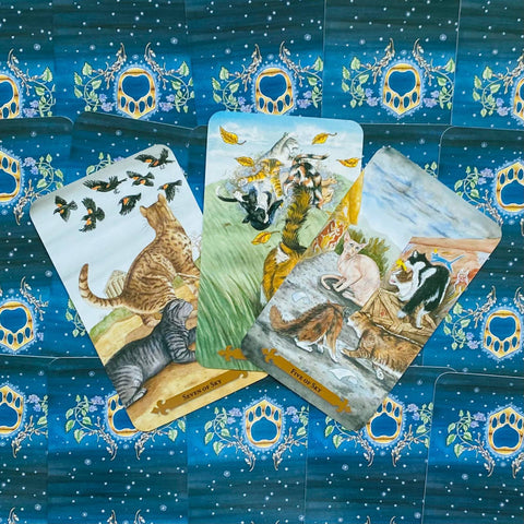 Mystical Cats Tarot Deck Lunaea Weatherstone Mickie Mueller Llewellyn