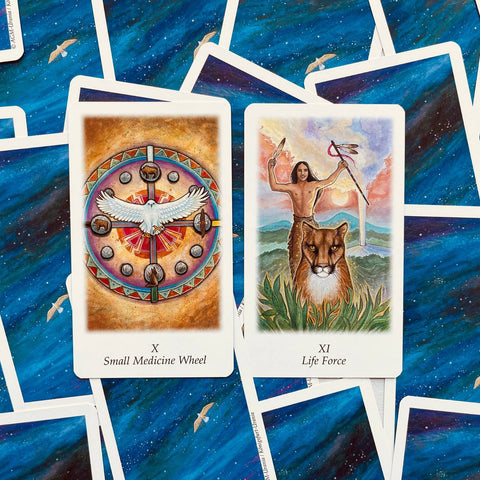Vision Quest Tarot Cards Deck By Gayan Sylvie Winter Esoteric Agm