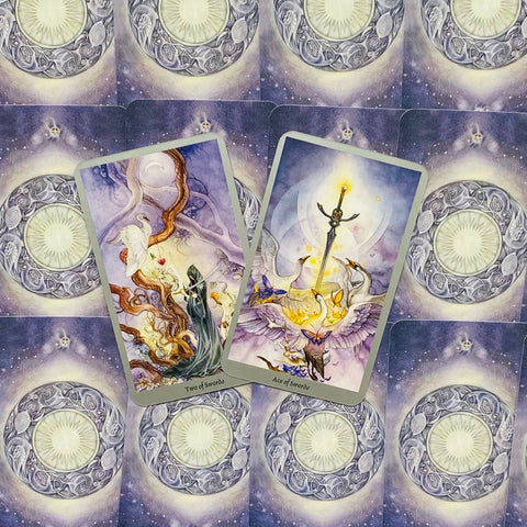 Shadowscapes Tarot Cards Deck And Book Set Stephanie Pui Mun Law Llewellyn