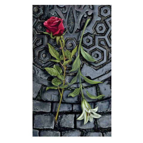 Tarot of the Vampyres Kit –Tarot Cards Set