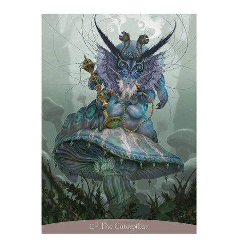 Alice In Wonderland Oracle Cards Deck Paolo Barbieri Divination