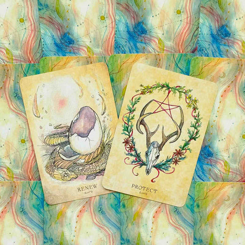 Anatomy Of A Witch Oracle Cards Deck Llewellyn By Laura Tempest Zakroff