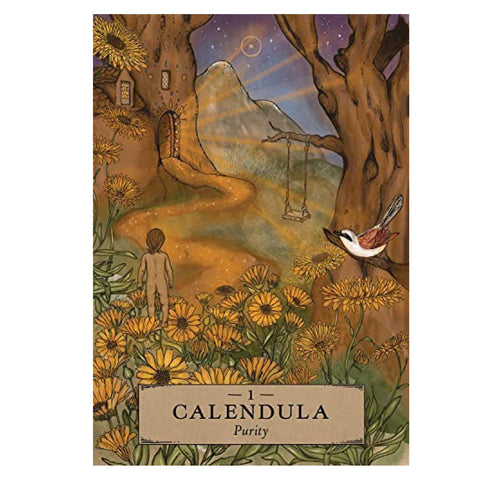 Herbal Astrology Oracle Cards Deck And Guidebook Hay House