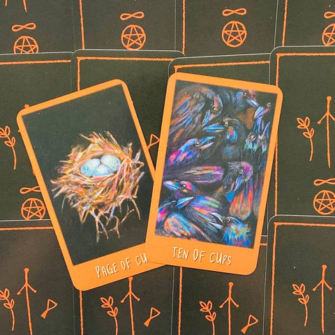 The Raven's Prophecy Tarot Cards Deck Llewellyn By Maggie Stiefvater Magic