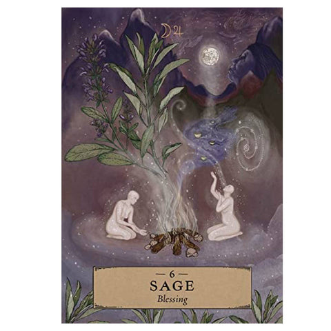 Herbal Astrology Oracle Cards Deck And Guidebook Hay House