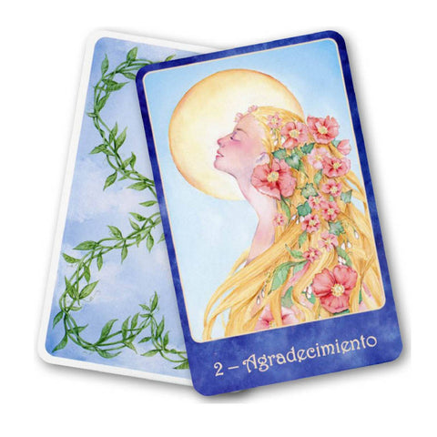 Sabiduria Serena Y Entranable Oracle In Spanish Cards Deck Gentle Wisdom Agm