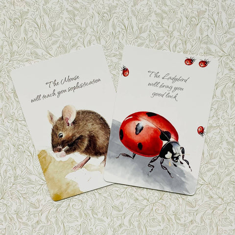 Power Animals Cards Deck Spirit Guides For Your Spiritual Life Esoteric