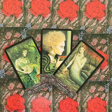 The Tarot Of Vampyres Tarot Cards Deck Esoteric Ian Daniels Llewellyn With Bag