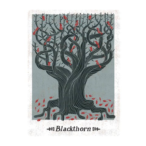 Folklore Oracle Cards Deck Mike Bass 60 Divination Watkins Publishing