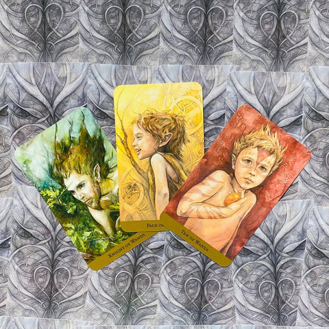 Tarot Of The Hidden Realm Tarot Cards Deck Julia Jeffrey Llewellyn With Bag