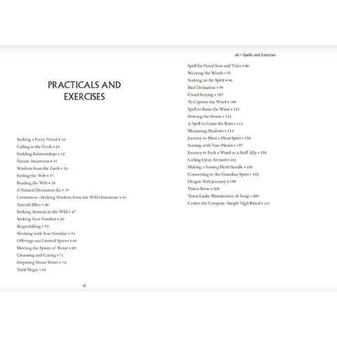 Wild Magic Book Celtic Folk Traditions For Solitary Practitioner Llewellyn