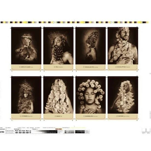 Sacred Nature Oracle Cards Deck – Transformational Guidance & Intuition