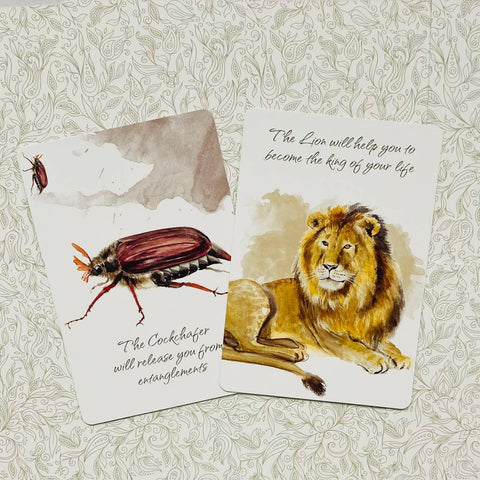 Power Animals Cards Deck Spirit Guides For Your Spiritual Life Esoteric