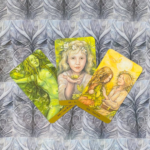 Tarot Of The Hidden Realm Tarot Cards Deck Julia Jeffrey Llewellyn With Bag