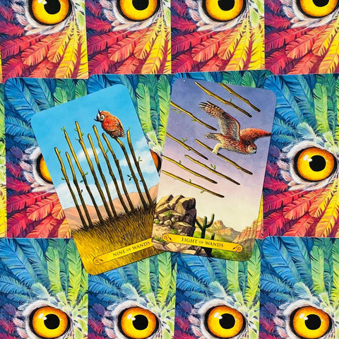 Tarot Of The Owls Cards Deck Art By Elisabeth Alba Pamela Chena Llewellyn