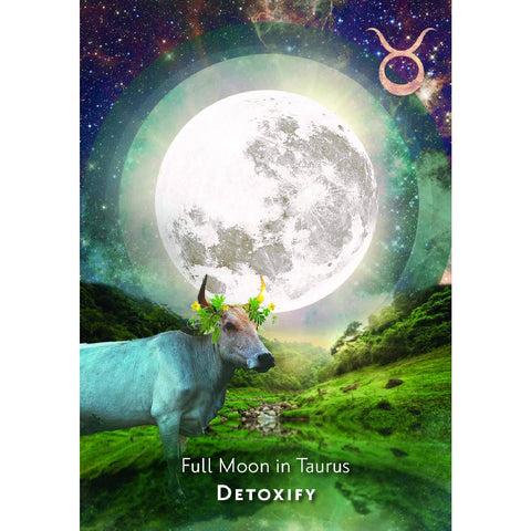 Monology Manifestation Oracle Cards Deck & Guidebook Y. Boland With Bag