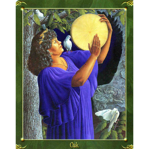 Green World Oracle Deck Cards Esoteric Kathleen Jenks Schiffer Publishing