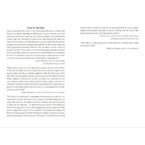 Wild Magic Book Celtic Folk Traditions For Solitary Practitioner Llewellyn