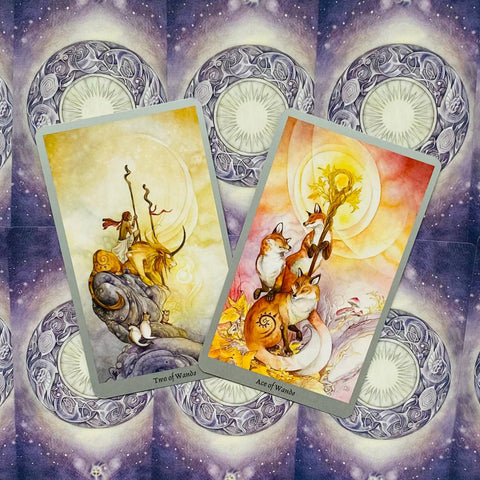 Shadowscapes Tarot Cards Deck Stephanie Pui Mun Law Llewellyn