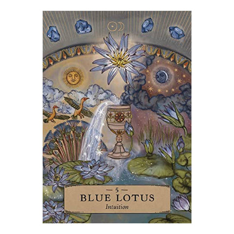 Herbal Astrology Oracle Cards Deck And Guidebook Hay House