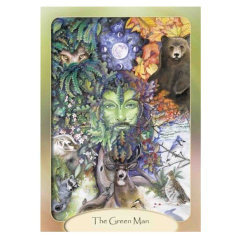 The Stone Circle Oracle Cards Schiffer Transformation Through Meditation