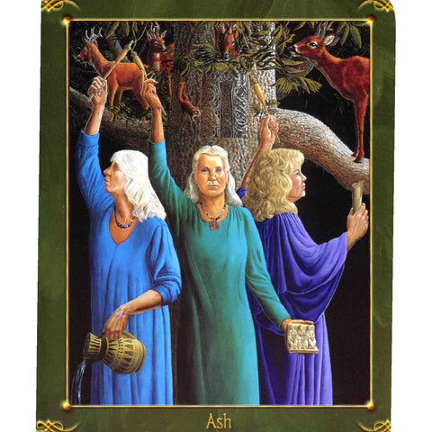 Green World Oracle Deck Cards Esoteric Kathleen Jenks Schiffer Publishing