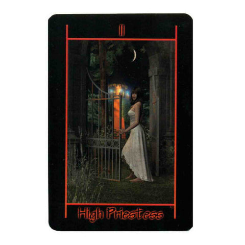Tarot Of The Night Deck Book Set Schiffer Publishing Richard Shadowfox